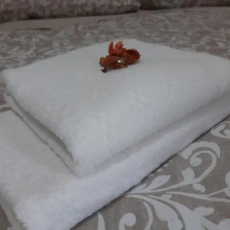 Sleep&go Airlines Guest house Pisa